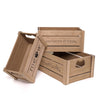 Addie Joy Cat-Themed Decorative Wood Crate Set of 3